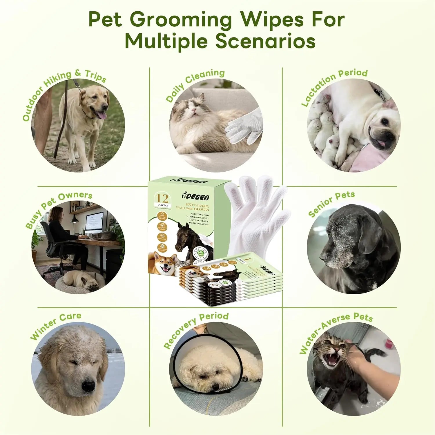 Dog & Cat Grooming Wipes - Extra-Thick Individually Wrapped No-Rinse Cleaning Gloves for Paws, Coat, 6 Packs Purified Water Moisturizing Hydrating Wipes for Home Use