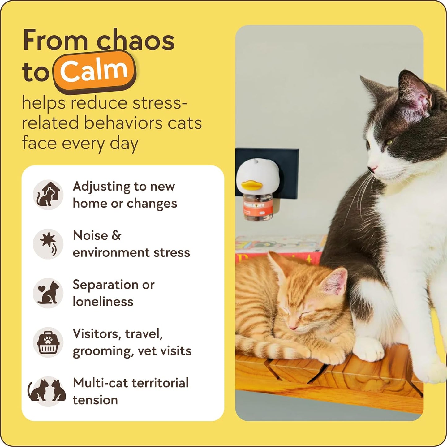 Therapetmd 60-Day Cat Calming Diffuser - Cat Pheromone Diffuser for Stress, Pee Spraying, Cat Fighting, Aggression, Excessive Meowing & Scratching - 60-Day Refill Included - Packaging May Vary